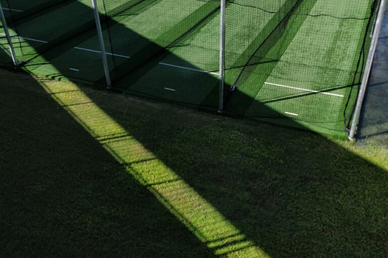 How AI is Transforming Cricket