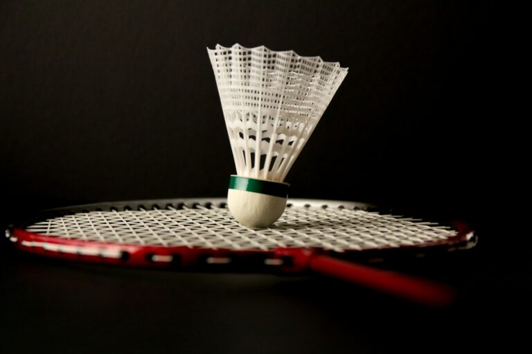 Why Badminton is the Must-Play Sport of 2025