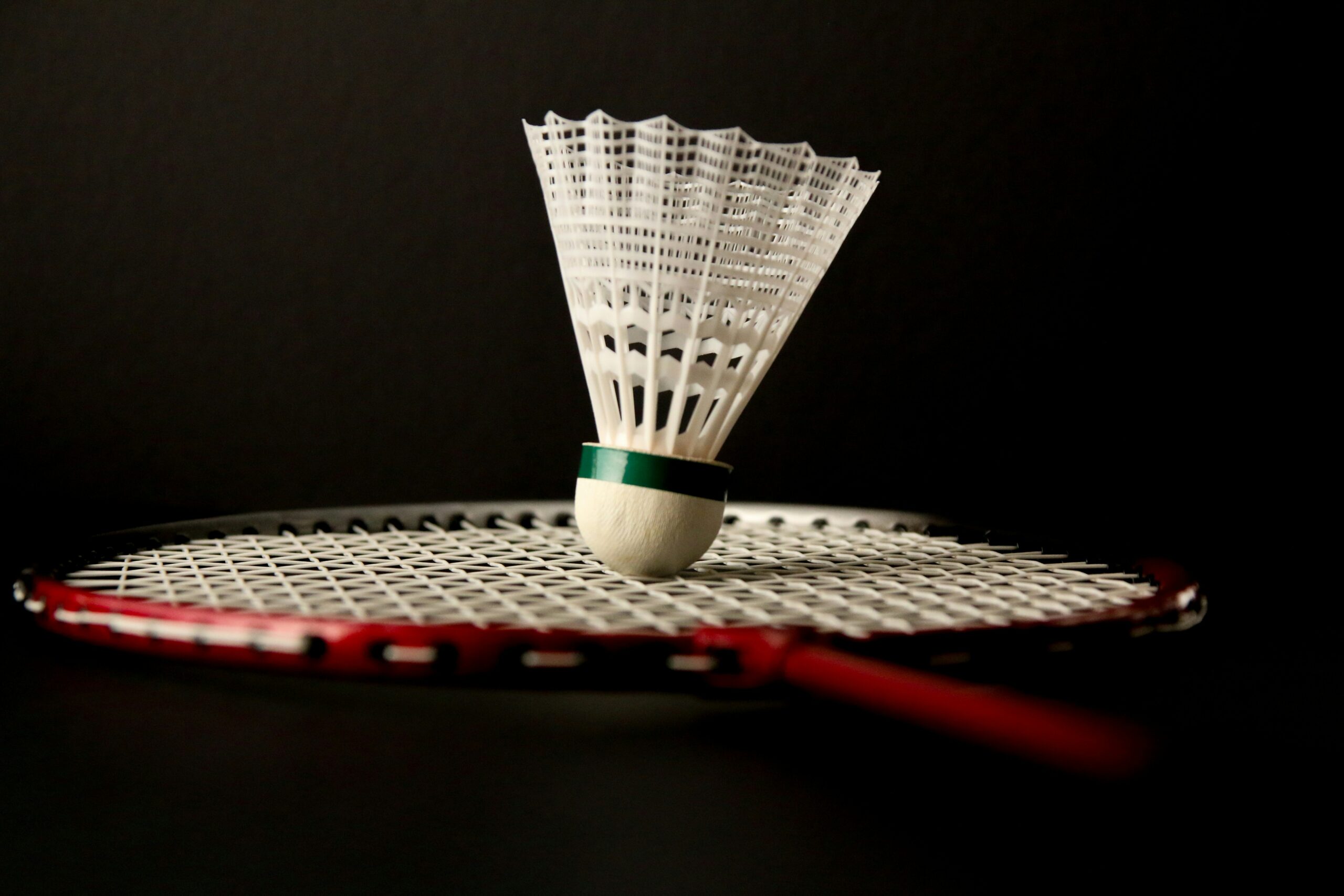 Why Badminton is the Must-Play Sport of 2025